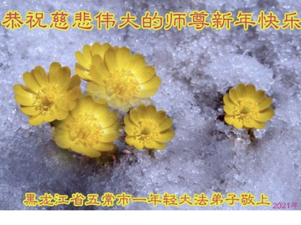 Image for article ผู้ฝึกฝ่าหลุนต้าฝ่าวัยหนุ่มสาวในประเทศจีนอวยพรปีใหม่ท่านอาจารย์หลี่หงจื้อ
