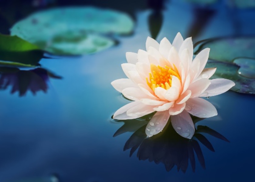 Image for article ฉันเสริมสร้างความสัมพันธ์ด้วยการค้นหาจากภายในอย่างไร