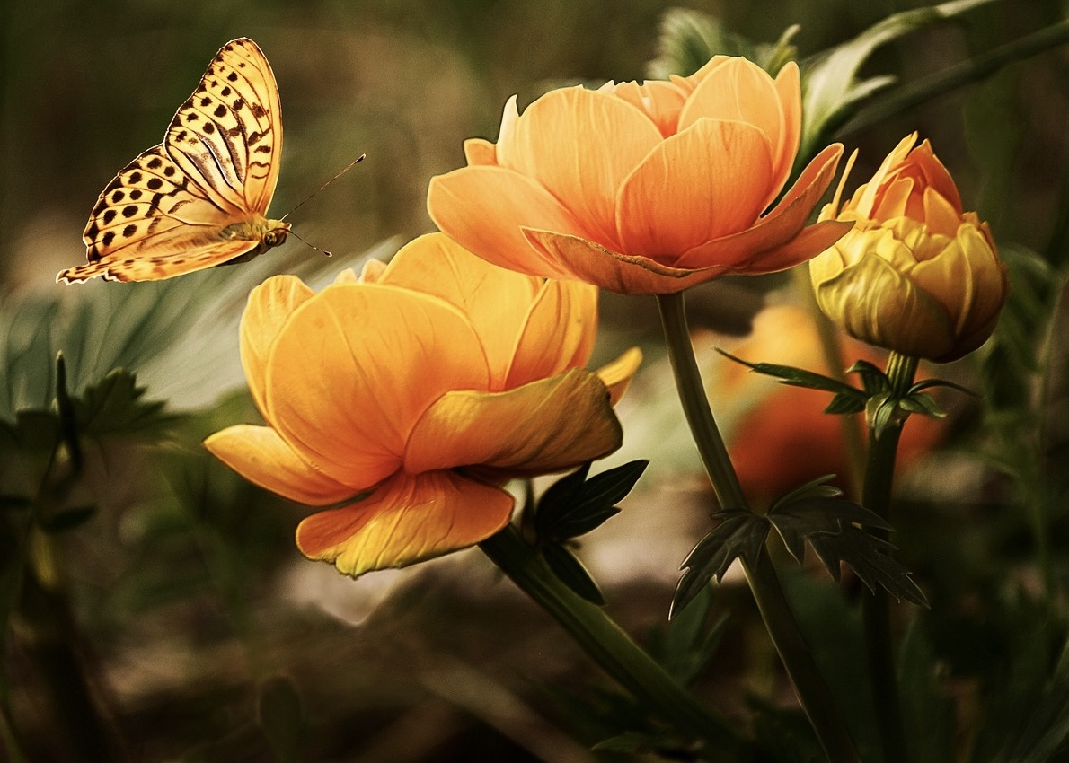 Image for article ต้าฝ่ารักษามะเร็งของสามีของฉัน 2 ครั้ง