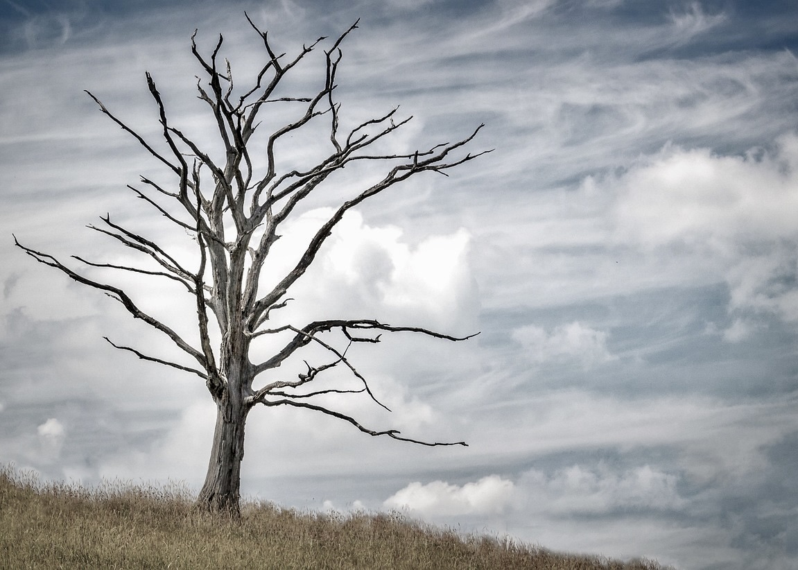 Image for article หญิงวัย 45 ปีเสียชีวิตหลังจากเข้าคุก 3 วันเพื่อรับโทษจําคุก 5 ปีจากการฝึกฝ่าหลุนกง