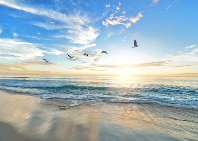 Image for article เข้าใจความหมายของชีวิตหลังได้ฝึกต้าฝ่า